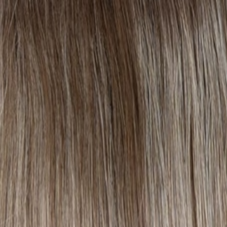 Raquel Welch Midnight in Paris Human Hair Wig Black Label RH17/101SS Shaded Sugared Tea